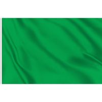 Adria Bandiere Bandiera verde