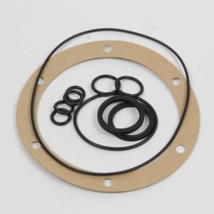 Mavi Mare Kit oring per pompe idrauliche