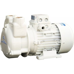 GIANNESCHI Elettropompa Cp30