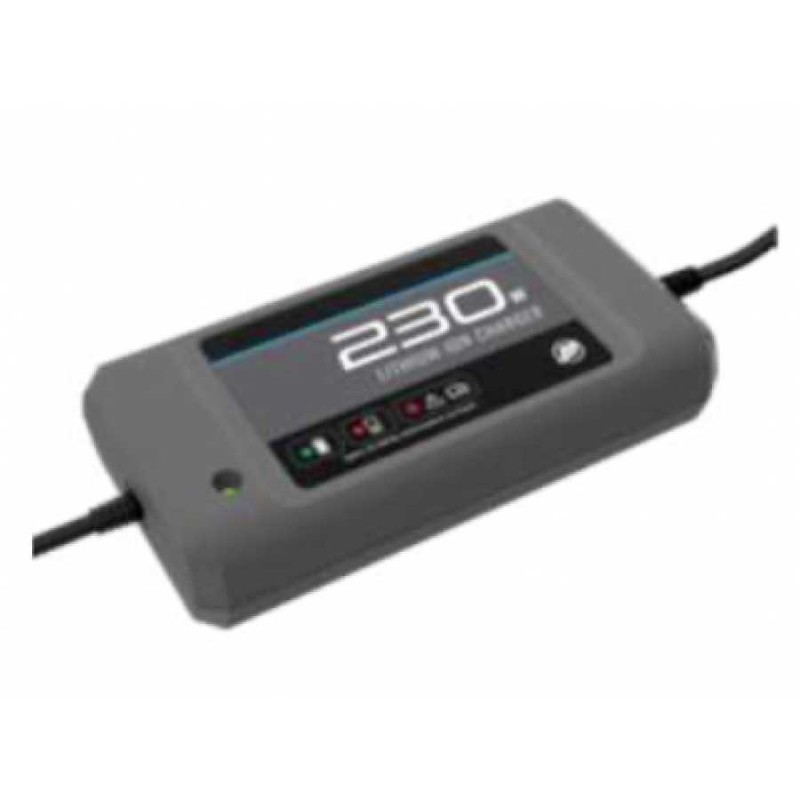 Caricabatterie smart per Avator 7.5E - foto 1