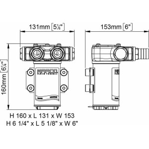 VP45-N pompa a palette 45 l/min 24 volt - foto 2