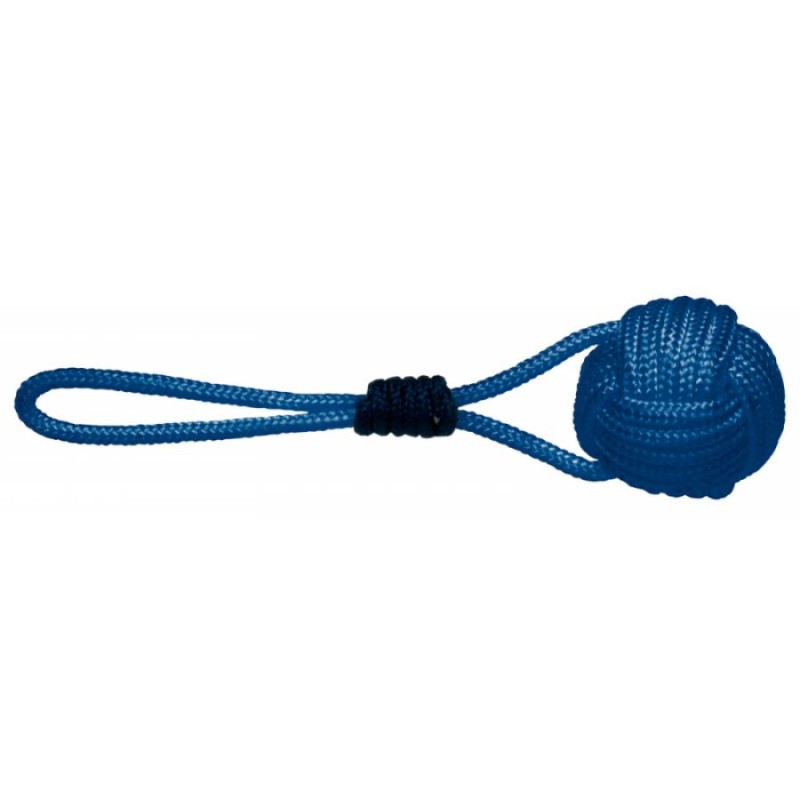 Lancia Sagola Blu - foto 1